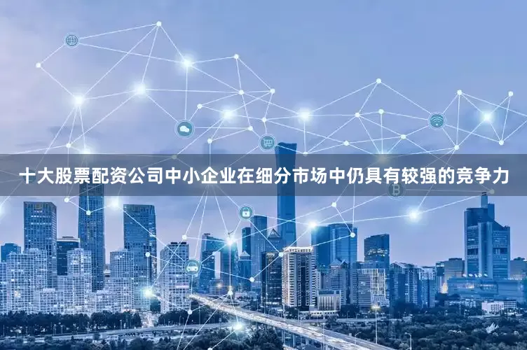 十大股票配资公司中小企业在细分市场中仍具有较强的竞争力