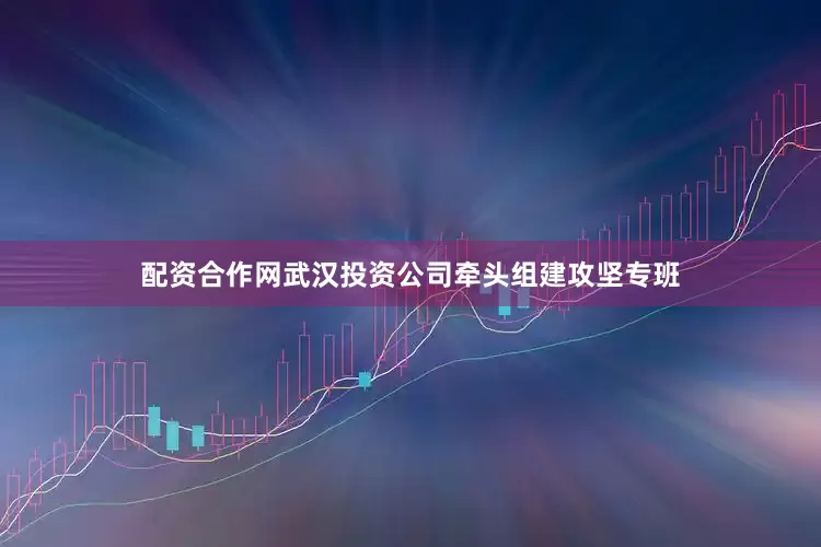 配资合作网武汉投资公司牵头组建攻坚专班