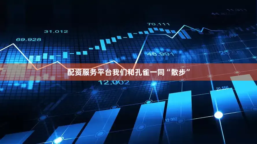 配资服务平台我们和孔雀一同“散步”