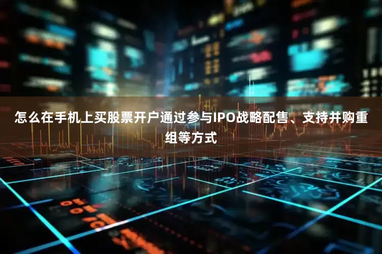 怎么在手机上买股票开户通过参与IPO战略配售、支持并购重组等方式