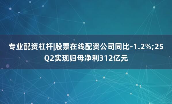 专业配资杠杆|股票在线配资公司同比-1.2%;25Q2实现归母净利312亿元